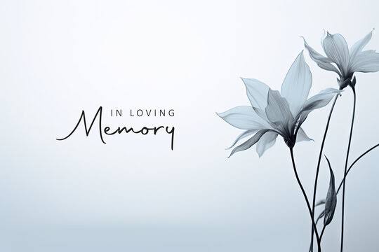 Jed Kreuser Obituary, Cause of Death – Cedar Lake Township Mourns Beloved Son and Basketball Standout at 33